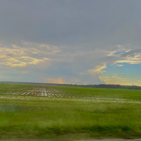 Meet your Posher, Sadie - Picture 1 of 1